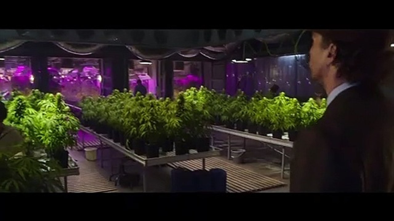 The Gentlemen Trailer DF