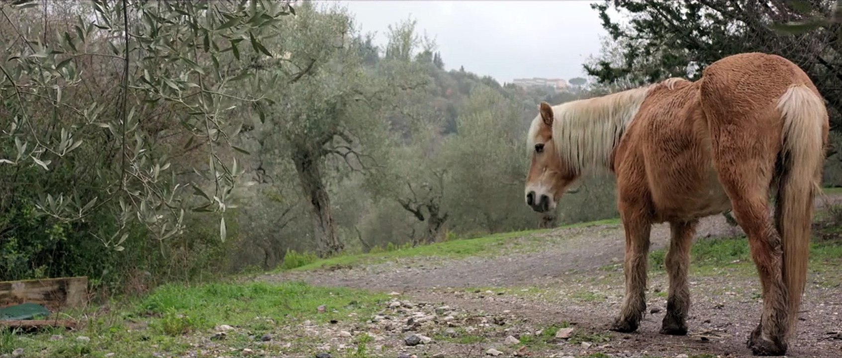 Die Liebe frisst das Leben Trailer DF