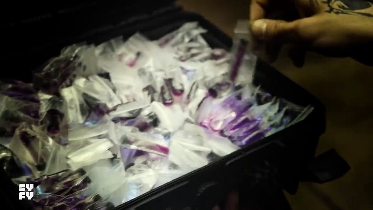 Spides Trailer DF
