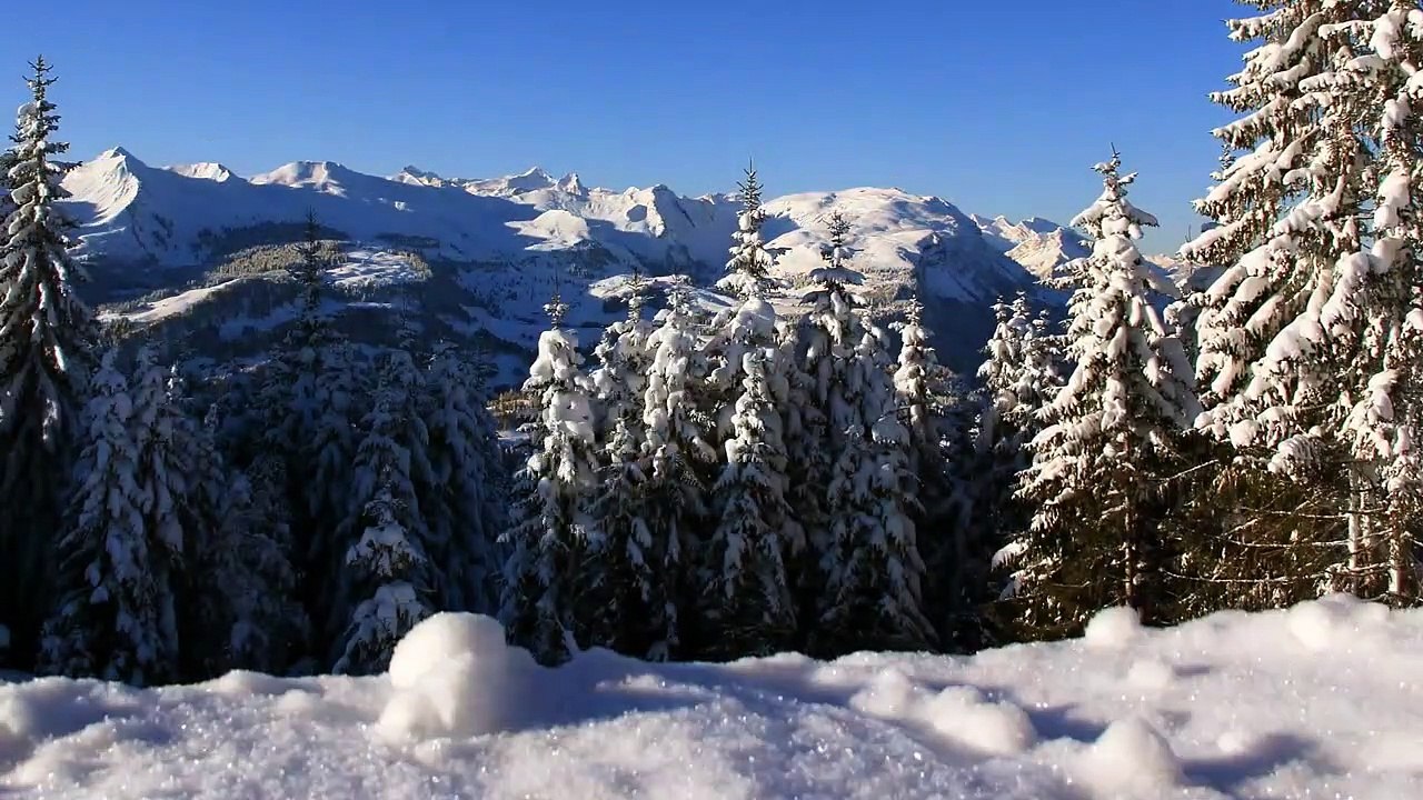 Meine Weihnachtsliebe Trailer DF