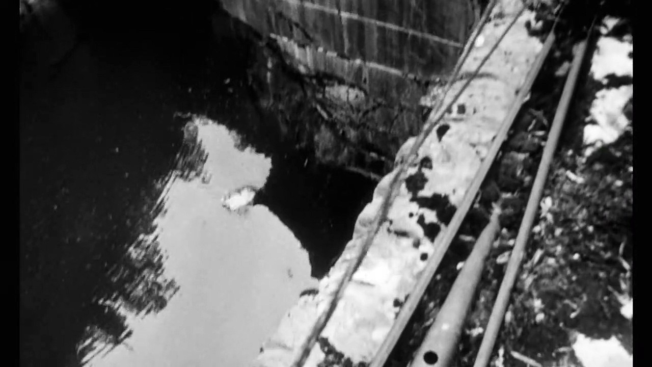 Mann beißt Hund Trailer DF