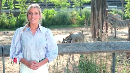 Zone Interdite (m6) Les secrets du zoo le plus incroyable de France