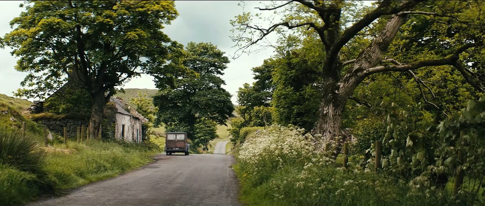 Trautmann Trailer DF