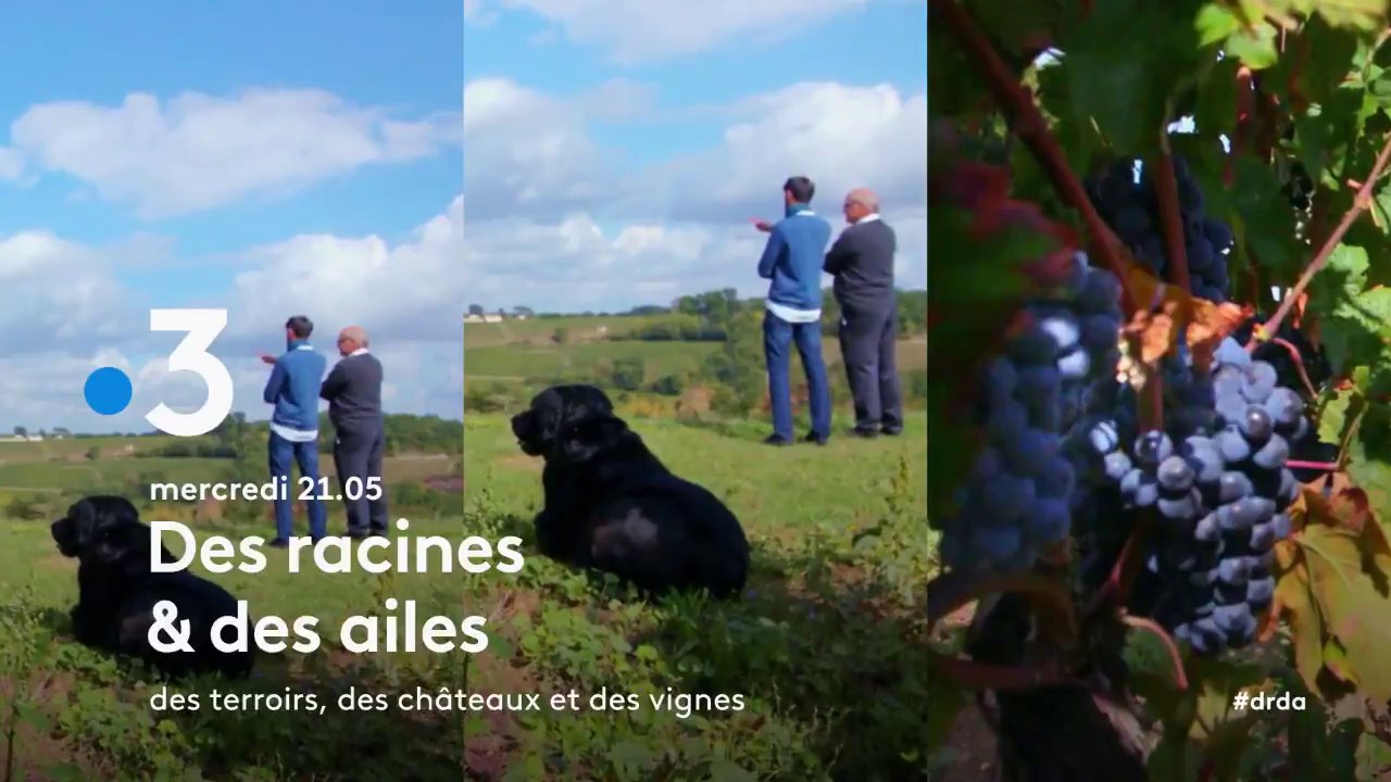 Des racines et des ailes (france 3) Des terroirs, des châteaux et des vignes
