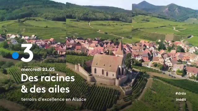 Des racines et des ailes (France 3) Terroirs d'excellence en Alsace