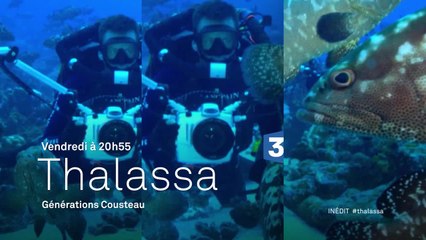 Thalassa - Générations Cousteau - 07/10/16