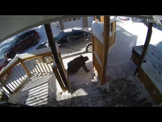 Like Father, Like Son