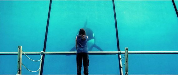 Der Geschmack von Rost und Knochen Trailer DF