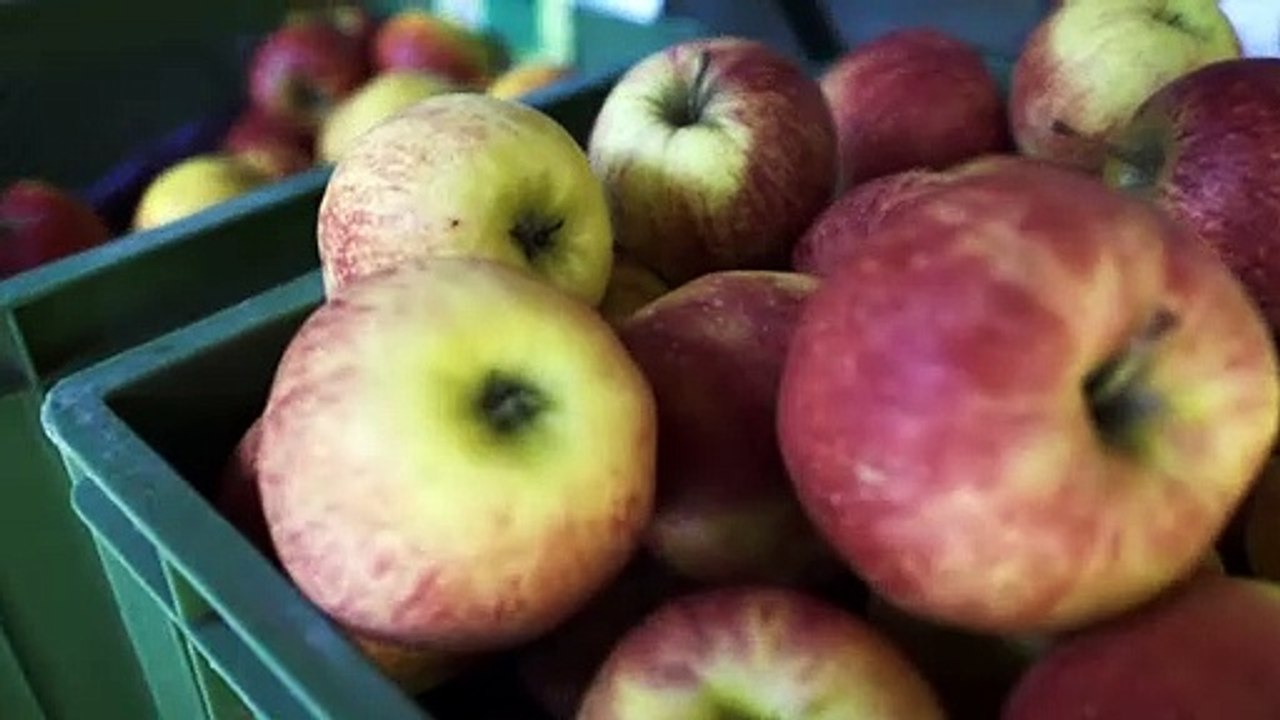 SEIN - gesund, bewusst, lebendig Trailer DF