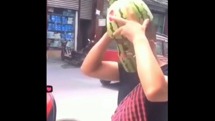 Kompilasi Video Lucu 10 Maret 2022