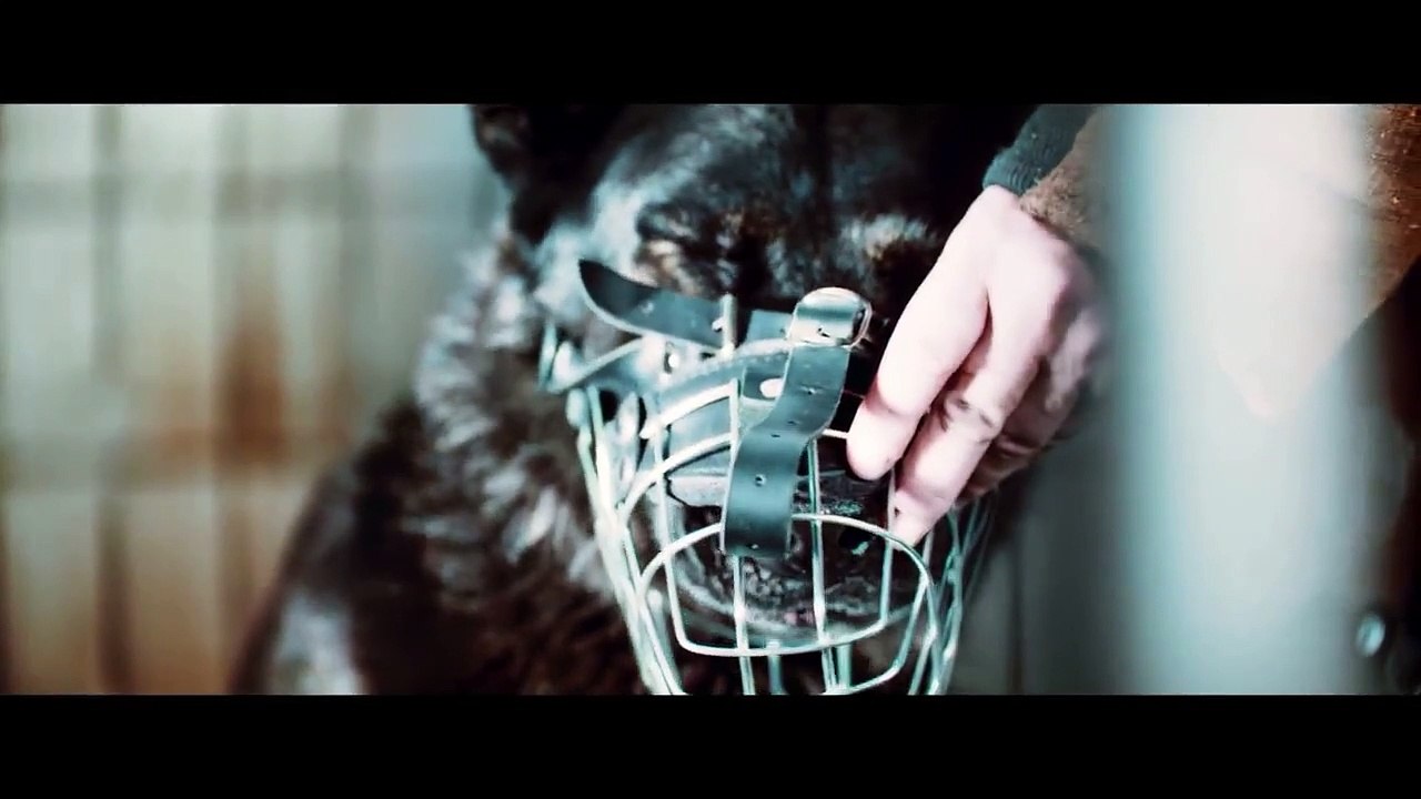 Die Rüden Trailer DF