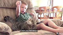 Zapping du 16/05 : ce chat héros sauve un enfant de l’attaque d’un chien