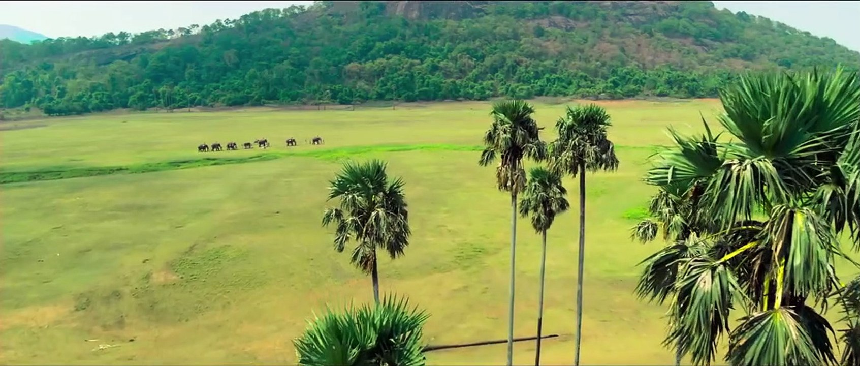 Kayamkulam Kochunni Trailer OV