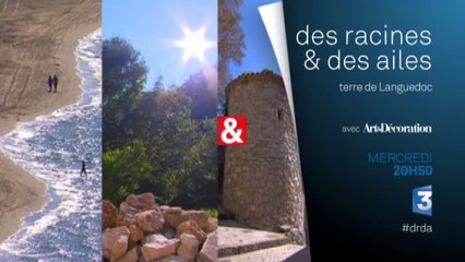 Des Racines et des ailes - terre de Languedoc - 08/09/15