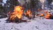 Changing snowfall makes it harder to fight fire with fire