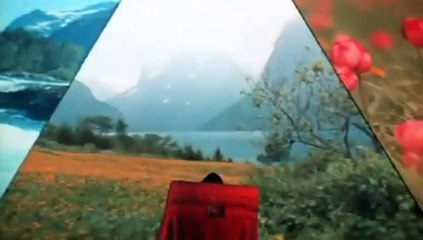 Soylent Green: Jahr 2022… die überleben wollen Trailer OV