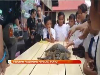 Program kesedaran populasi penyu