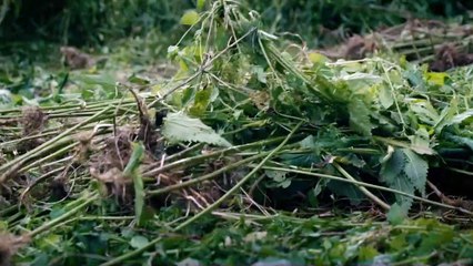 Die sieben Raben Trailer DF