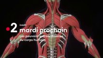 Les Pouvoirs extraordinaires du corps humain (France 2) Tout pour prévenir et soulager le mal de dos