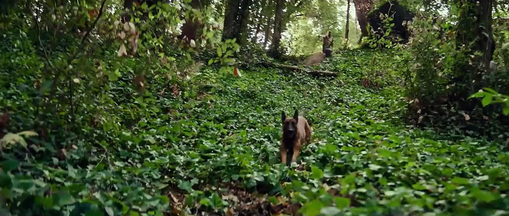 Dog - Das Glück hat vier Pfoten Trailer (2) OV