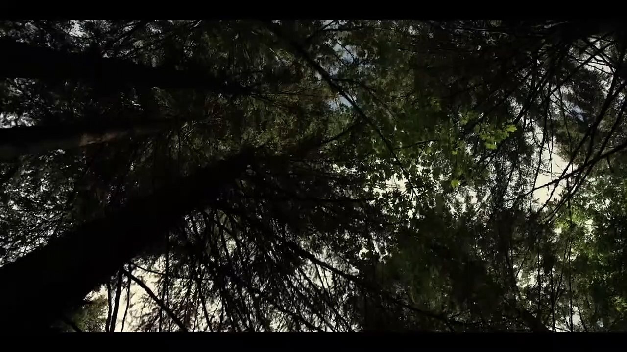 Alone We Fight – Das letzte Gefecht Trailer DF