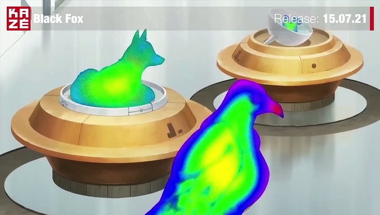 Black Fox Trailer DF