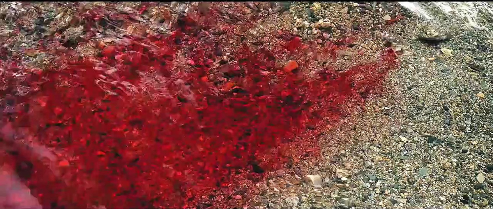 Robin Hood - Der Rebell Trailer DF