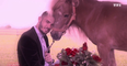 Zapping du 17/09 : Sous hypnose, Baptiste Giabiconi croit être amoureux d’un poney