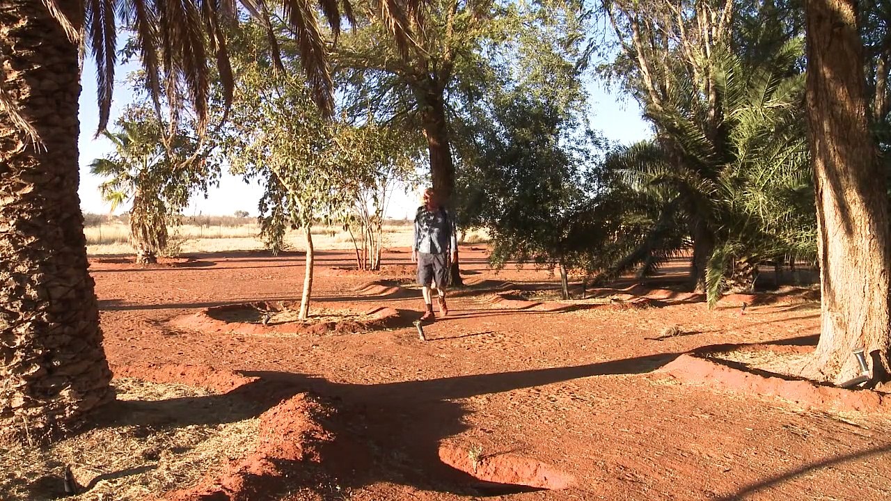 Auf der Suche nach Paul Trailer DF