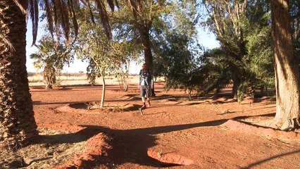 Auf der Suche nach Paul Trailer DF