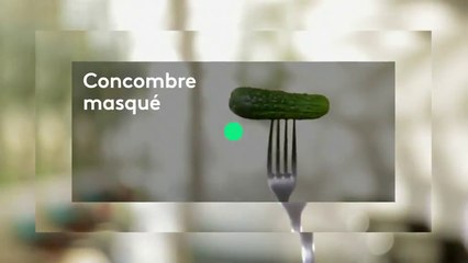 Cornichon, l'agité du bocal - france 5
