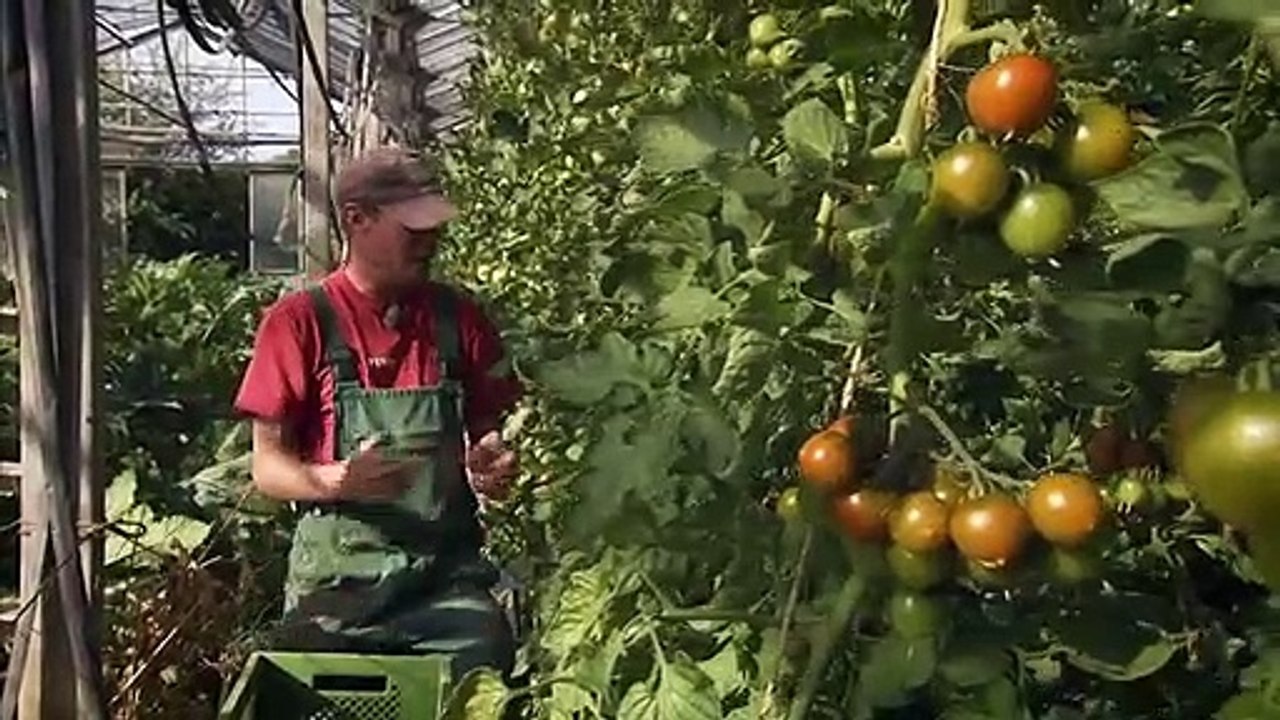 Die Heimreise Trailer DF