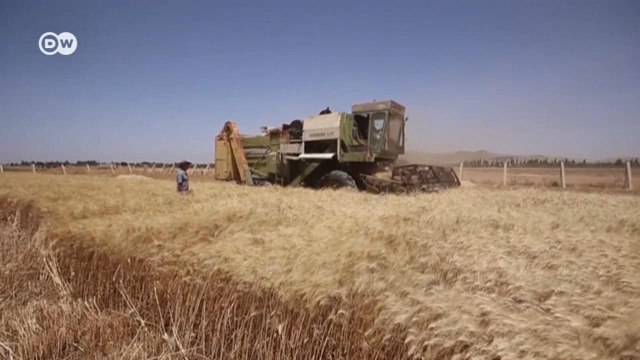 Рост цен и социальные волнения - что ожидает мир из-за войны в Украине (09.03.2022)