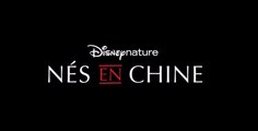 Nés en Chine -VF