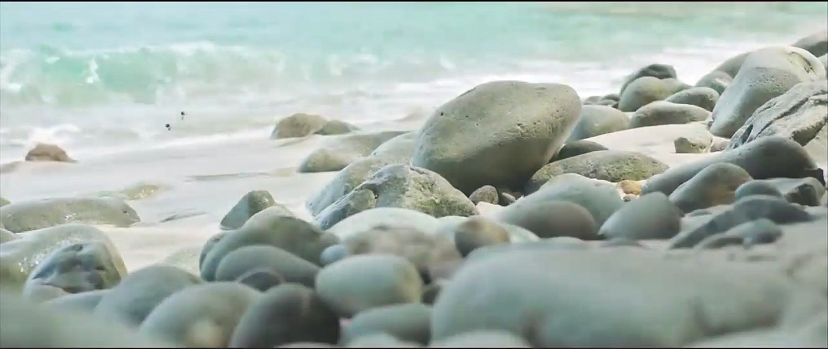 Die Winzlinge - Abenteuer in der Karibik Teaser (2) DF