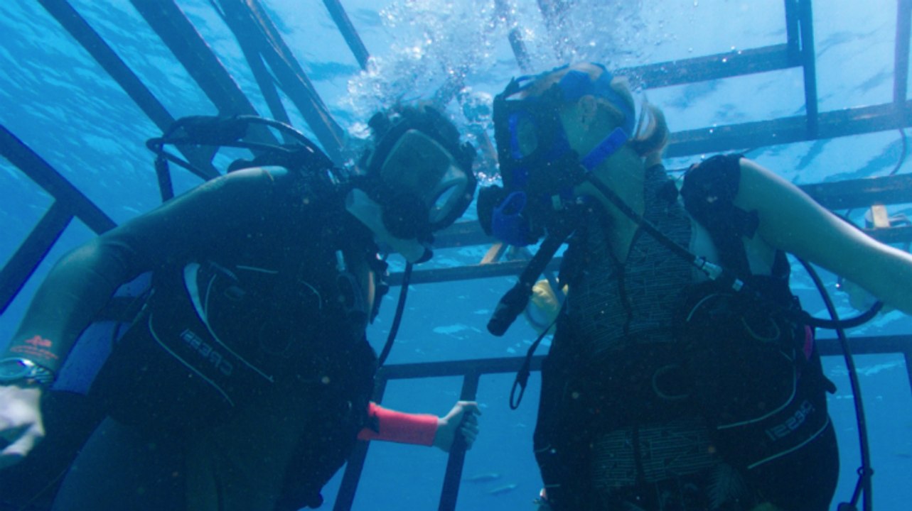 Extrait 47 meters down