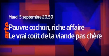 Thema - Le vrai coût de la viande pas chère - 05 09 17 - Arte