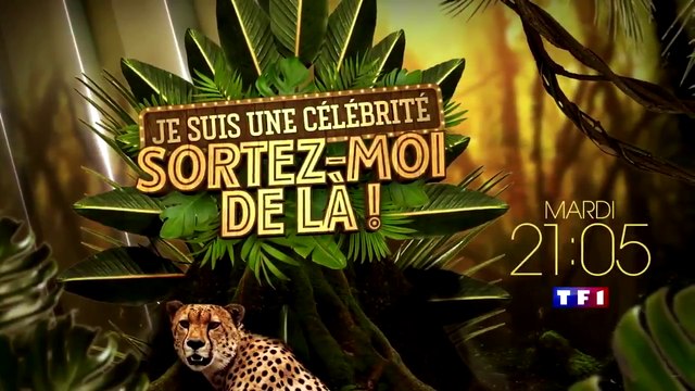 Je suis une célébrité Sortez-moi de là (tf1) bande-annonce épisode 2