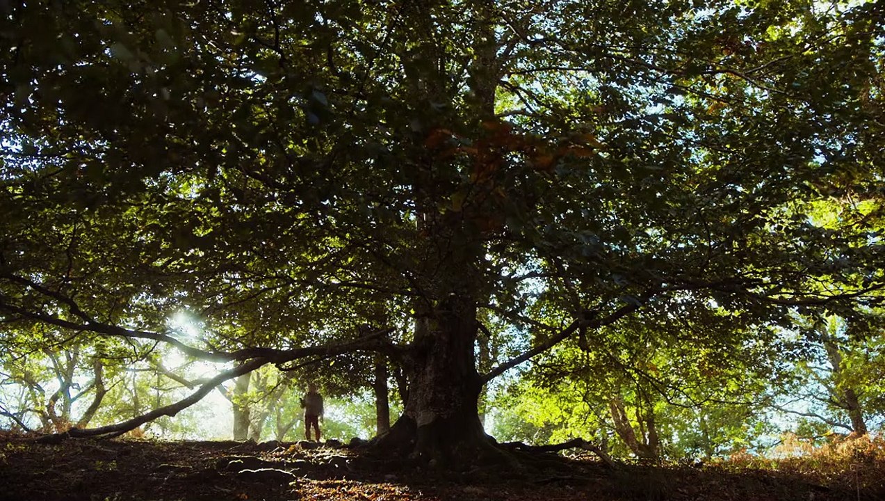 Bon Voyage! - Ein Franzose in Korea Trailer DF