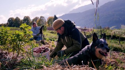 Der Bauer und der Bobo Trailer DF