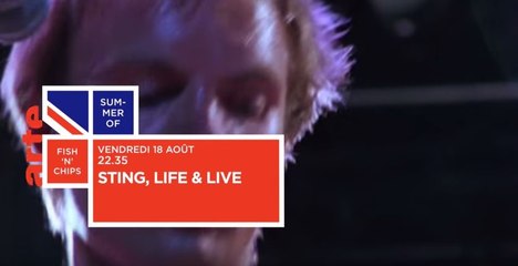 Sting, portrait d'un Englishman - 18 08 17 - Arte