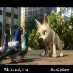 Volt, star malgré lui - ba