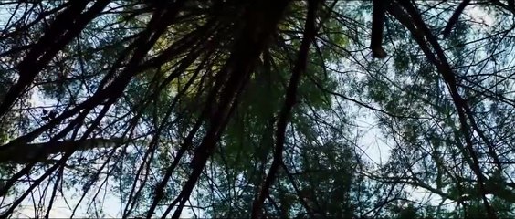 Beyond The Night Trailer OV