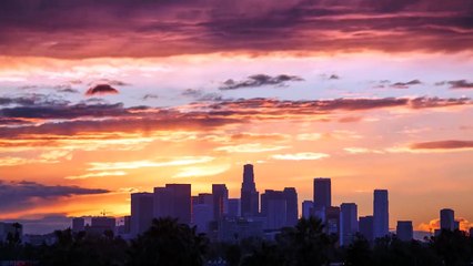 The Untold Story Trailer OV