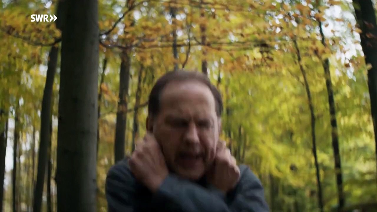 Labaule & Erben Trailer DF