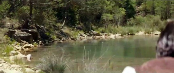 The Sisters Brothers Trailer DF