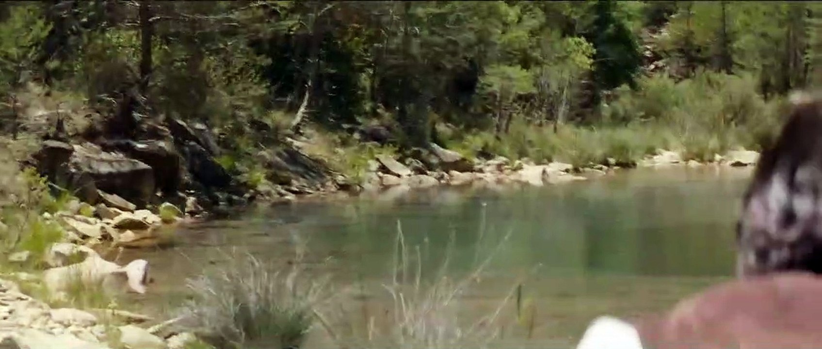 The Sisters Brothers Trailer DF