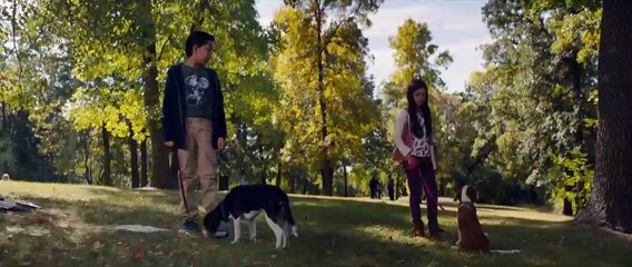 Bailey - Ein Hund kehrt zurück Trailer OV