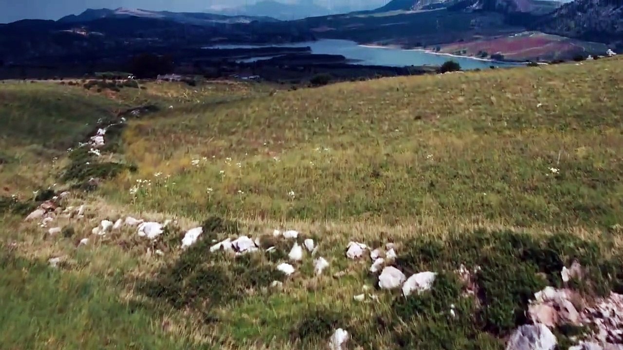 Il Cacciatore - The Hunter Trailer DF