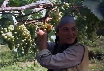 1001 Rezepte eines verliebten Kochs Trailer OV